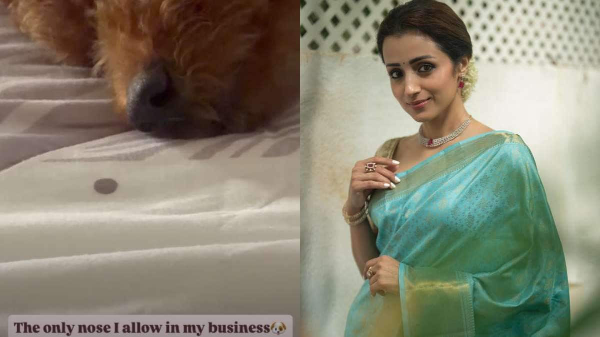 Trisha Krishnan : రిలేషన్ షిప్ రూమర్స్ - పెంపుడు కుక్క ఫోటోకు క్యాప్షన్... త్రిష స్ట్రాంగ్ కౌంటర్