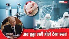 बुढ़ापे पर काबू और सुअर के अंदर इंसानी अंग! जवानी और ताकत के लिए पुतिन का नया प्रोजेक्ट क्या?