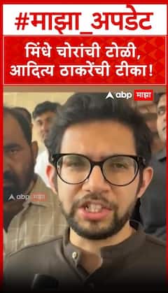 Aditya Thackeray on Shivsena : मिंधे चोरांची टोळी,आदित्य ठाकरेंची टीका!