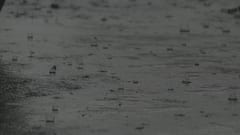 Weather Update : আকাশ মেঘলা, ঝেঁপে বৃষ্টির আশঙ্কা রাজ্যের জেলায় জেলায়, কী বলছে IMD ?