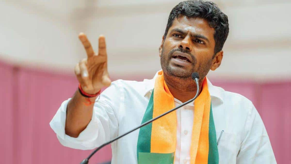 Annamalai: வேகமாக வளர்ந்து அதைவிட வேகமாக வீழ்ந்த அண்ணாமலை - முகத்தை இழக்கும் பாஜக, என்ன பிரச்னை?