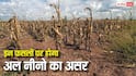 मानसून को कमजोर कर सकता है अल-नीनो, जानें कौन सी फसलों पर सबसे ज्यादा रहेगा असर?