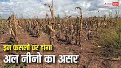 मानसून को कमजोर कर सकता है अल-नीनो, जानें कौन सी फसलों पर सबसे ज्यादा रहेगा असर?
