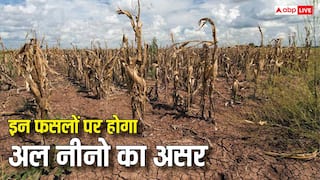 मानसून को कमजोर कर सकता है अल-नीनो, जानें कौन सी फसलों पर सबसे ज्यादा रहेगा असर?