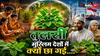 Tulsi: दुनिया झुक रही है 'श्यामा' के आगे...आखिर क्यों मुस्लिम देशों में मच गई है भारतीय तुलसी की धूम?