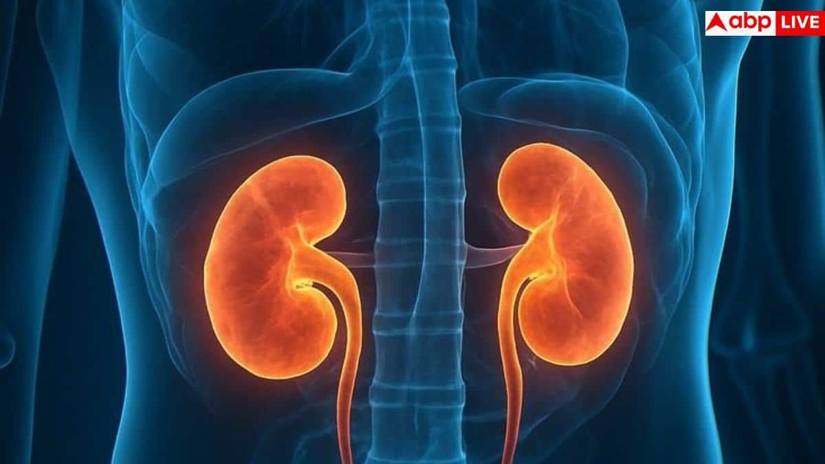 Kidney Disease: 2040 तक मौत का 5वां बड़ा कारण बनेगी किडनी की बीमारी, लैंसेट की रिपोर्ट में डरावना खुलासा