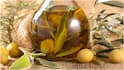 Olive Oil For Hair : ఆలివ్ ఆయిల్ వంటకేనా? జుట్టుకు కూడా అప్లై చేయవచ్చా? లాభ, నష్టాలు ఇవే