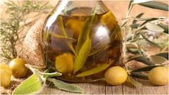 Olive Oil For Hair : ఆలివ్ ఆయిల్ వంటకేనా? జుట్టుకు కూడా అప్లై చేయవచ్చా? లాభ, నష్టాలు ఇవే