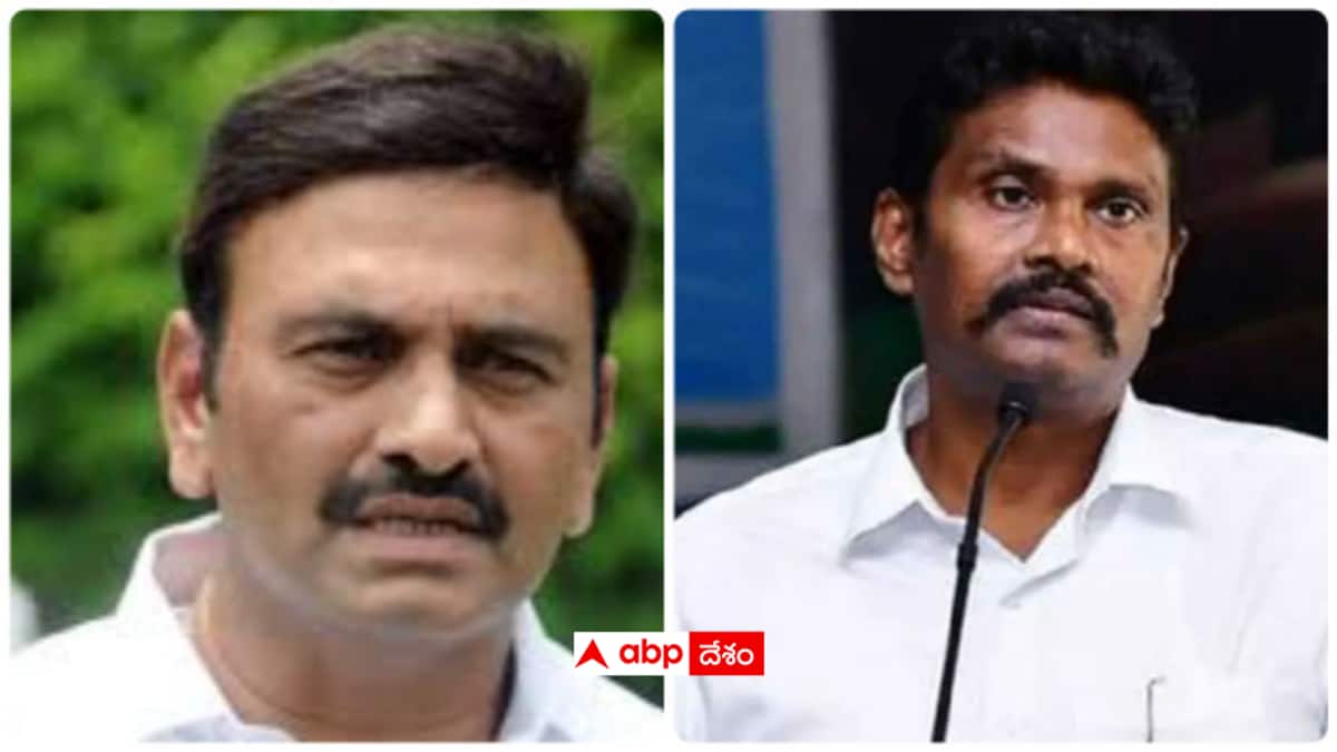 PV Sunil Kumar IPS Challenges Raghurama Krishna Raju: రఘురామకృష్ణరాజుకు పోటీగా పీవీ సునీల్ కుమార్ - నెలాఖరులో రిటైర్ అవగానే ఇక రాజకీయమే ?