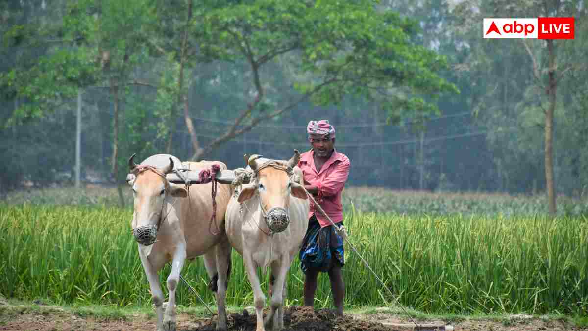 Agriculture: ખેડૂતભાઈઓ આ સરકારી સ્કીમમાં રોકે માત્ર 55 રૂપિયા, 60 ની ઉંમર પછી દર વર્ષે મળશે 36 હજાર