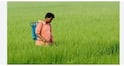 Good News: ਖੁਸ਼ਖਬਰੀ, ਕਿਸਾਨਾਂ ਦਾ 2 ਲੱਖ ਤੱਕ ਦਾ ਕਰਜ਼ਾ ਮੁਆਫ਼; ਸਰਕਾਰ ਵੱਲੋਂ...
