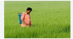 Good News: ਖੁਸ਼ਖਬਰੀ, ਕਿਸਾਨਾਂ ਦਾ 2 ਲੱਖ ਤੱਕ ਦਾ ਕਰਜ਼ਾ ਮੁਆਫ਼; ਸਰਕਾਰ ਵੱਲੋਂ...
