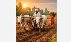 Good News: ਖੁਸ਼ਖਬਰੀ, ਕਿਸਾਨਾਂ ਦਾ 2 ਲੱਖ ਤੱਕ ਦਾ ਕਰਜ਼ਾ ਮੁਆਫ਼; ਸਰਕਾਰ ਵੱਲੋਂ...