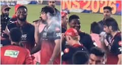 Watch: RCB Player's 'Cigar' Celebration Goes Viral; Here's What Really Happened