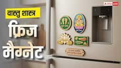 Vastu Tips: वास्तु अनुसार रेफ्रिजेरेटर पर चिपाएं ये फ्रिज मैग्नेट, धन-ऊर्जा होगी आकर्षित
