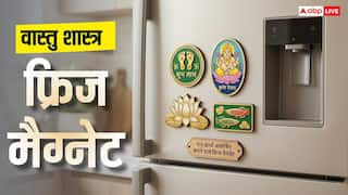 Vastu Tips: वास्तु अनुसार रेफ्रिजेरेटर पर चिपाएं ये फ्रिज मैग्नेट, धन-ऊर्जा होगी आकर्षित