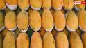 Rotten Mangoes: सावधान! मार्केट में बिक रहा सड़े और कीड़ों वाले आम का जूस, हो सकती है ये गंभीर बीमारी