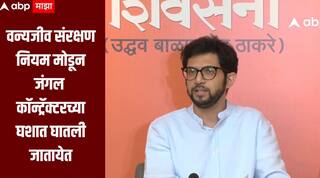 गडचिरोलीतील मायनिंग प्रकल्पाला आमचा विरोध, वन्यजीव संरक्षण नियम मोडून जंगल कॉन्ट्रॅक्टरच्या घशात घातली जातायेत, आदित्य ठाकरेंचा हल्लाबोल 