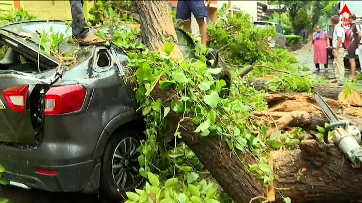 বজ্রবিদ্যুৎ সহ বর্ষণের মাঝেই এল খারাপ খবর, জেলায় বাজ পড়ে মৃত্যু হল ৫ জনের। সকাল থেকেই কলকাতা-সহ দক্ষিণবঙ্গের বিভিন্ন জায়গায় দফায় দফায় তুমুল বৃষ্টি শুরু হয়।