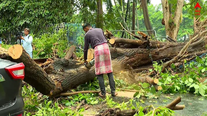 রাজ্যে প্রবল দুর্যোগের মাঝে একাধিক মৃত্যু। শেষ অবধি পাওয়া খবরে, ঝোড়ো হাওয়া বৃষ্টিতে সল্টলেকের AE ব্লকে দাঁড়িয়ে থাকা গাড়ির উপর ভেঙে পড়ল গাছ। গাছ ভেঙে পড়ে আহত ১ পথচারী।