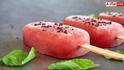 Frozen Dessert Health Risks : ਜਾਣੋ ਸਿਹਤ ਲਈ ਕਿਵੇਂ ਨੁਕਸਾਨਦੇਹ ਹੈ ਫ੍ਰੋਜ਼ਨ ਡਿਜ਼ਰਟ , ਨਿਊਟ੍ਰਿਸ਼ਨਿਸਟ ਨੇ ਦਿੱਤੀ ਵੱਡੀ ਚੇਤਾਵਨੀ