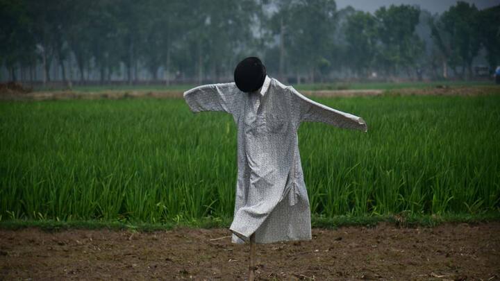 किसानों के लिए एक सबसे साधारण सा तरीका हो सकता है कि किसान अपने खेत के अंदर थोड़ी-थोड़ी दूरी पर इंसान जैसे दिखने वाले पुतले लगा दें. ये पुतले हवा में हिलते भी हैं, जिससे जानवरों को लगता है कि खेत में इंसान है और वो खेत के अंदर नहीं आते.