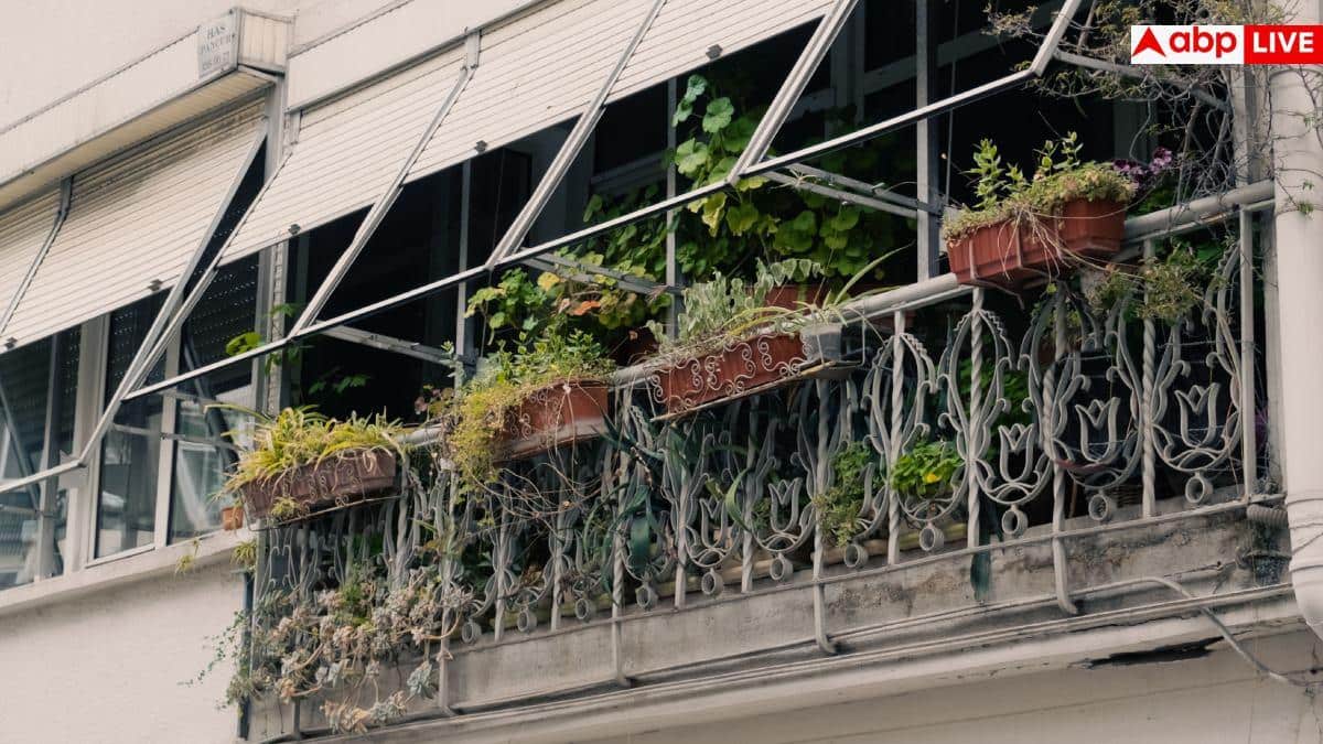 Balcony Garden: एसी-कूलर का खर्च होगा कम, घर को प्राकृतिक रूप से ठंडा रखेंगे बालकनी वाले ये खास पौधे