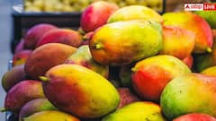 Heath Alert: રેડી મેડ કેરીનો રસ લેતા પહેલા સાવધાન, આ જ્યુસ આ કારણે કરી શકે છે ગંભીર બીમાર