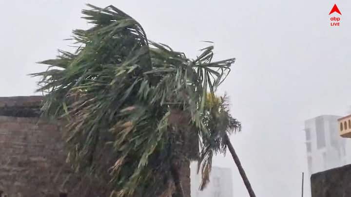 রবিবার ঝড় বৃষ্টির সম্ভাবনা বেশি থাকবে মুর্শিদাবাদ ,নদিয়া উত্তর ও দক্ষিণ চব্বিশ পরগনা, পূর্ব ও পশ্চিম মেদিনীপুর, কলকাতা, হাওড়া, হুগলি জেলাতে।