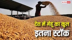 भारत में कितना है गेहूं का स्टॉक, जानें कितने साल तक ना उगाया जाए तो चल जाएगा काम?
