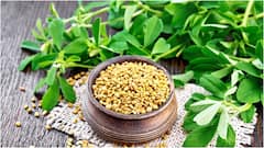 Fenugreek Leaves : మెంతి కూర ఆరోగ్యానికి మంచిదే.. కానీ వీరు మాత్రం జాగ్రత్త! ఎవరు తినొచ్చు? ఎవరు తినకూడదు?