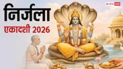 निर्जला एकादशी पर क्या करने से प्राप्त होता है 24 एकादशियों का पुण्य ?