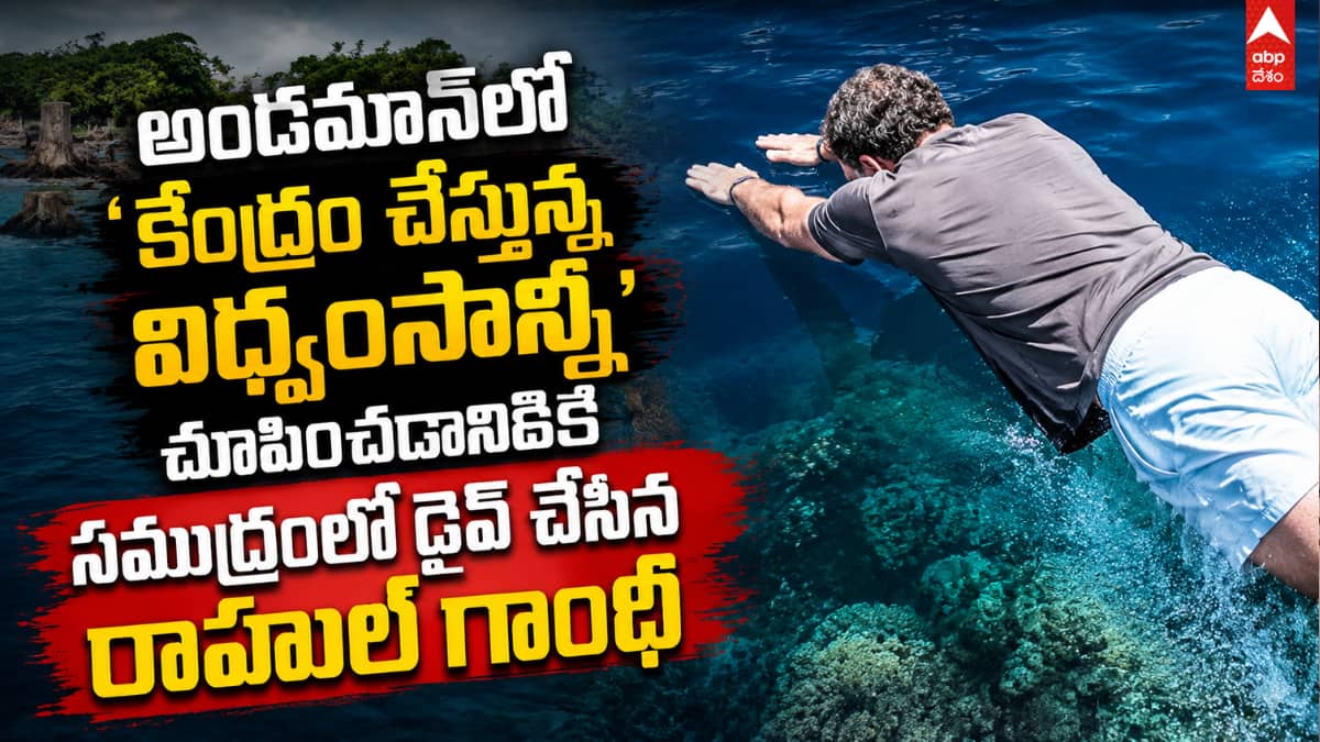 Rahul Gandhi Great Nicobar Project: అండమాన్‌లో 'కేంద్రం చేస్తున్న విధ్వంసాన్ని' చూపించేందుకు సముద్రంలో డైవ్ చేసిన రాహుల్ గాంధీ