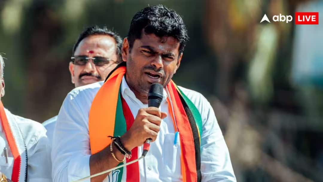 अन्नामलाई ने लॉन्च किया नया संगठन तो थलापति विजय की पार्टी की आया रिएक्शन, कहा- 'BJP की पुरानी फिल्म...'