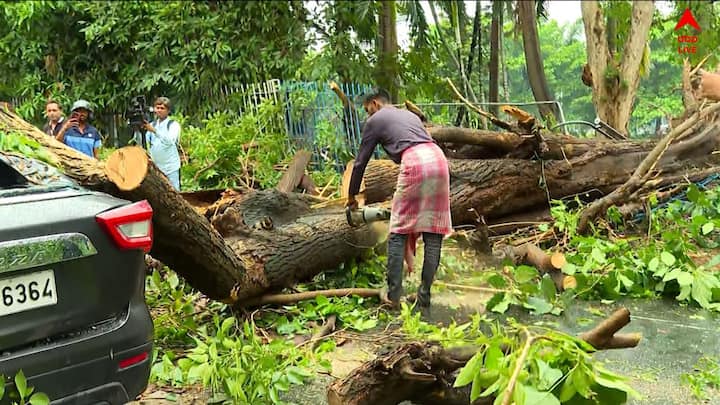 অপরদিকে, শনিবারের মিনিট দুয়েকের প্রবল ঝড়ে মৃতের সংখ্যা আরও এক বাড়ল। নাকতলার বাসিন্দা গুরুতর আহত বৃষ্টি রানা নামে এক গৃহবধূর মৃত্যু হয় বুধবার।
