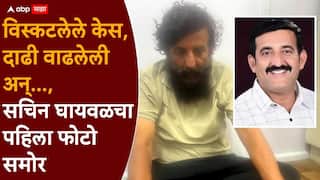 Sachin Ghaywal : विस्कटलेले केस, दाढी वाढलेली, ओळखायला येईना अशी अवस्था; गुंड निलेश घायवळचा भाऊ सचिन घायवळचा पहिला फोटो समोर, पुण्यातून पोहोचला राजस्थानमध्ये