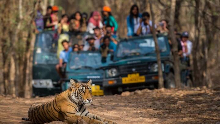 हालांकि इस बिजनेस को शुरू करने से पहले कानूनी नियमों को जानना बेहद जरूरी है. चीन जैसे देशों में तो सरकार इसके लिए बकायदा लाइसेंस देती है. लेकिन भारत में वन्यजीव संरक्षण कानून के तहत सांपों को पालना या उनका व्यापार करना पूरी तरह गैरकानूनी है. इसलिए इसे सिर्फ उन्हीं जगहों पर किया जा सकता है जहां इसकी कानूनी अनुमति हो.