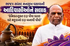 ભાજપ સાંસદ મનસુખ વસાવાની આદિવાસીઓને સલાહ: 'કેમિકલયુક્ત દારૂ પીવા કરતા ઘરે મહુડાનો દારૂ બનાવી પીવો'