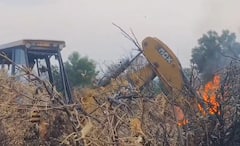 बीडमध्ये शेतकऱ्याने मोसंबी बागेवर फिरवला जेसीबी; पाण्याअभावी वाळून गेली बाग, जाळून केली खाक