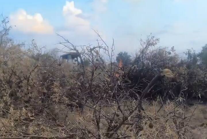 उन्हाळा संपत आल्याने नागरिकांना दिलासा आहे, पण दुसरीकडे पाण्याअभावी शेतकरी चिंतेत आहे. पाण्याअभावी फळबागांचं नुकसान होत असल्याने शेतकरी व्याकूळ झाल्याचं दिसून येत आहे.