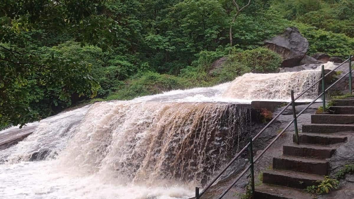 மேற்குத் தொடர்ச்சி மலையில் கன மழை : கோவை குற்றாலம் அருவி இன்று முதல் மூடல், வனத்துறை அறிவிப்பு !!!