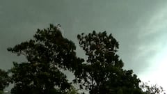 Weather Update : কয়েক ঘণ্টায় ভারী বর্ষণ ! সোঁ সোঁ করে হাওয়া , উত্তাল বৃষ্টি ! কোন কোন এলাকায় জারি সতর্কতা?