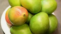 Mango Storage Tips: आम फ्रिज में रखने चाहिए या नहीं, जानें कैसे रख सकते हैं एक सप्ताह तक एकदम फ्रेश?