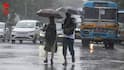 Weather Update: আজ আর কাল গরম নাকি বৃষ্টির পূর্বাভাস, কী বলছে আবহাওয়া দফতর?
