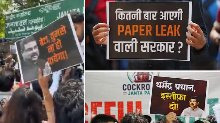 कॉकरोच जनता पार्टीने दिल्लीतील जंतर मंतरवर सकाळी 10 वाजता आंदोलनाला सुरुवात केली.