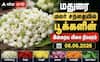 மதுரையில் எகிறிய மல்லிகைப் பூ விலை.. (06.06.2026) இன்றைய முழு விலை நிலவரம் என்ன?