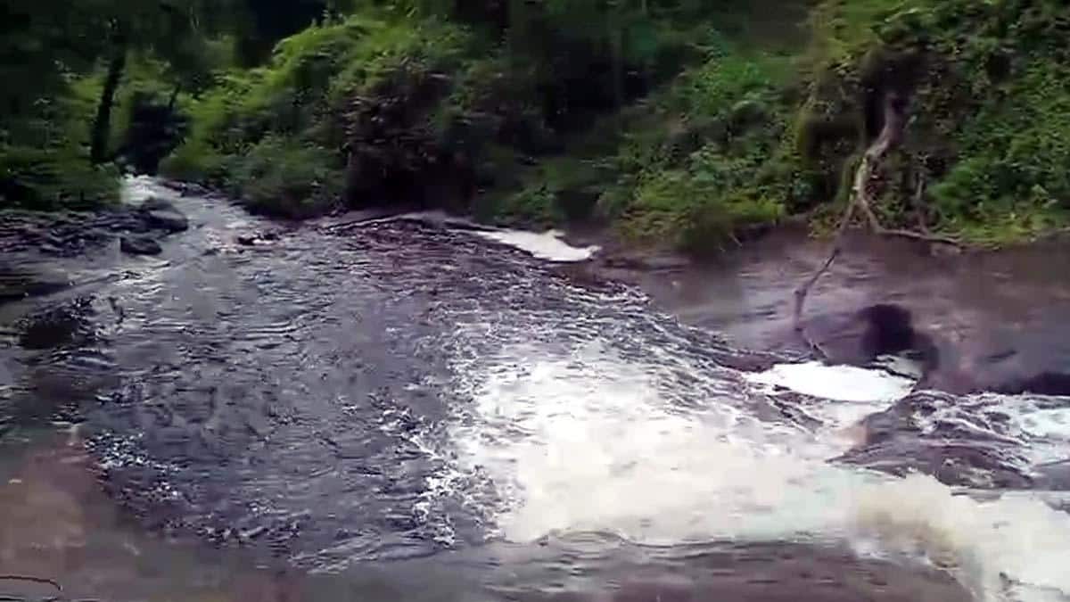 மேற்குத் தொடர்ச்சி மலையில் கன மழை : கோவை குற்றாலம் அருவி இன்று முதல் மூடல், வனத்துறை அறிவிப்பு !!!