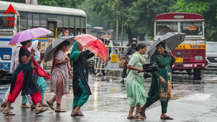 বজ্রবিদ্যুৎ-সহ হাল্কা থেকে মাঝারি ঝড়বৃষ্টি হবে মূলত। ঘণ্টায় ৪০ থেকে ৫০ কিলোমিটার গতিবেগে ঝোড়ো হাওয়া বইতে পারে উল্লিখিত জেলাগুলির ২-১ জায়গায়।