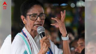 TMC News : TMC-র বিদ্রোহী সাংসদরা কি বিজেপিতে যোগ দেবেন, নাকি 'আসল' আখ্যা নিয়ে মমতার থেকে সরে যাবেন ? বিশেষজ্ঞরা বলছেন...