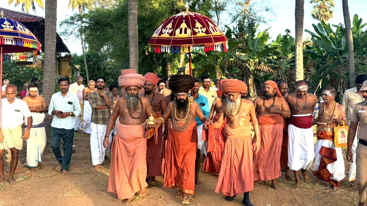 யானைகள் அணிவகுக்க வெள்ளிப் பல்லக்கில் வீதியுலா! தருமபுரம் ஆதீனத்தில் சிலிர்க்க வைத்த ஆன்மீகக் காட்சி!